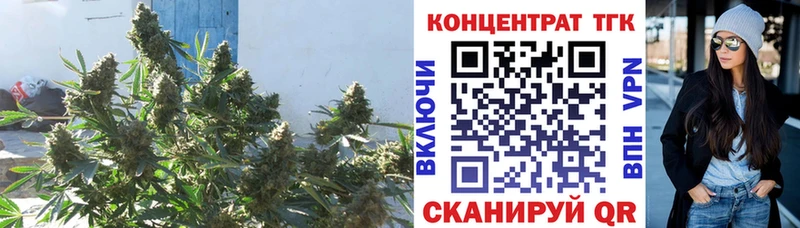 кракен рабочий сайт  Рассказово  ТГК THC oil 