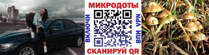 Псилоцибиновые грибы мухоморы  Рассказово 