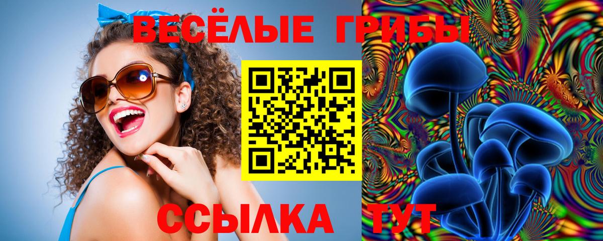 Псилоцибиновые грибы мухоморы Рассказово
