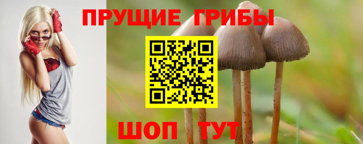 Псилоцибиновые грибы Magic Shrooms  Псилоцибиновые грибы GOLDEN TEACHER  Вход с VPN  Рассказово 
